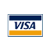 VISA�@�J�[�h���S